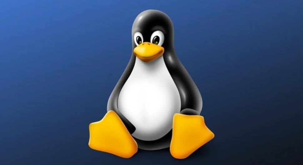 Linux File System